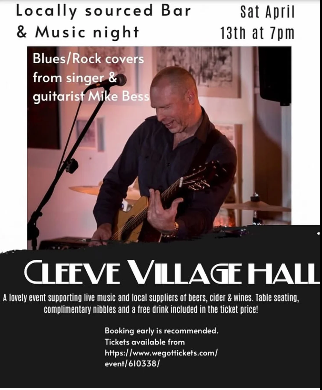 A Blues Night With Mike Bess